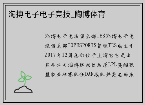 淘搏电子电子竞技_陶博体育